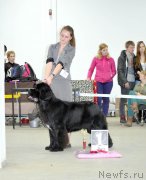 Превью фото № 122371