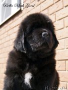 Превью фото № 122384