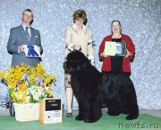 Превью фото № 122390