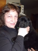 Превью фото № 122392