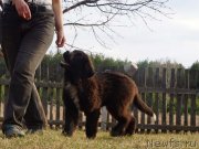 Превью фото № 122590