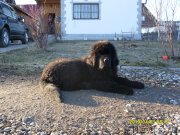 Превью фото № 122600