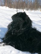 Превью фото № 122709