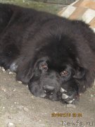 Превью фото № 122719