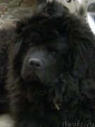 Превью фото № 122733