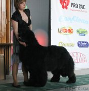 Превью фото № 122753