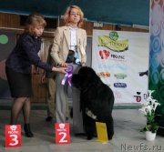 Превью фото № 122765