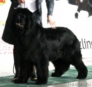 Превью фото № 122779