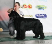 Превью фото № 122781