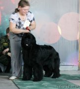 Превью фото № 122782