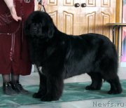 Превью фото № 122786