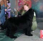 Превью фото № 122787