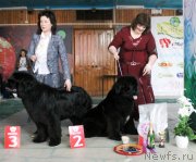 Превью фото № 122788