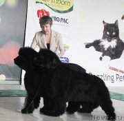 Превью фото № 122791