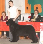 Превью фото № 122803