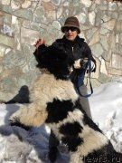 Превью фото № 122835