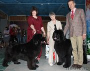 Превью фото № 122861