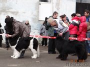 Превью фото № 122870