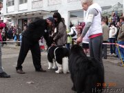 Превью фото № 122871