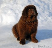 Превью фото № 122889