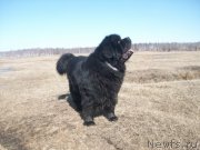 Превью фото № 123019