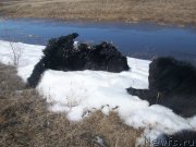 Превью фото № 123022