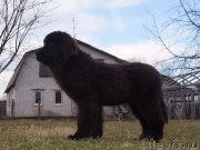 Превью фото № 123029