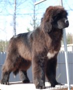 Превью фото № 123033