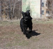 Превью фото № 123074