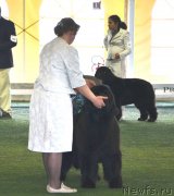 Превью фото № 123135