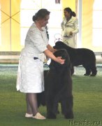 Превью фото № 123136