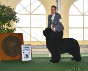 Превью фото № 123145