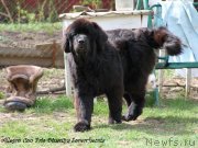 Превью фото № 123147