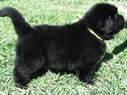 Превью фото № 123155