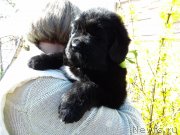 Превью фото № 123157