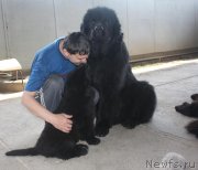 Превью фото № 123229