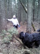 Превью фото № 123297