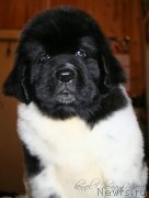 Превью фото № 123388