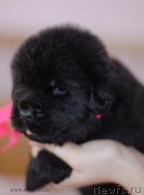 Превью фото № 123493