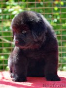 Превью фото № 123511