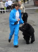 Превью фото № 123521