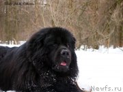 Превью фото № 123589