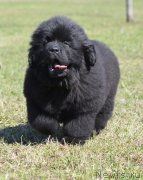 Превью фото № 123602