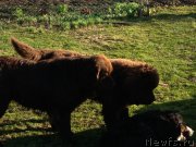 Превью фото № 123665