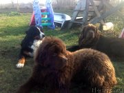 Превью фото № 123671