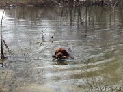 Превью фото № 123674