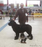 Превью фото № 123676