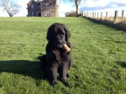 Превью фото № 123690