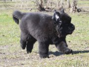 Превью фото № 123694