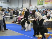 Превью фото № 123713